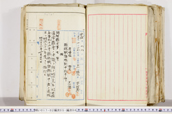 明い017020050007.jpg