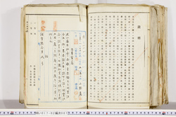明い017020070007.jpg