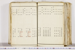 明い017020090003.jpg