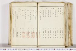 明い017020090004.jpg