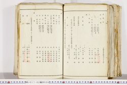 明い017020090005.jpg
