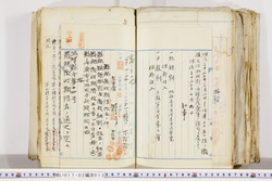 明い017020130002.jpg