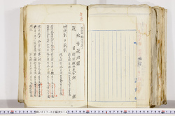 明い017020140005.jpg