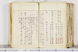 明い017020140006.jpg