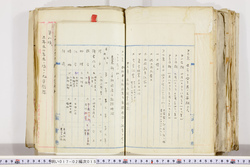 明い017020150003.jpg