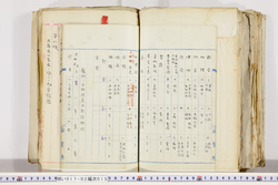 明い017020150005.jpg