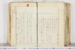 明い017020150008.jpg