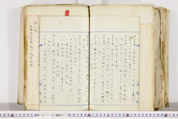 明い017020150009.jpg