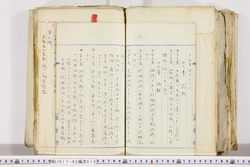 明い017020150010.jpg