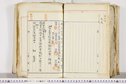明い017020190003.jpg