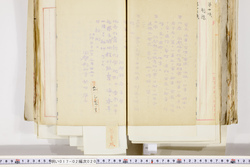 明い017020200005.jpg