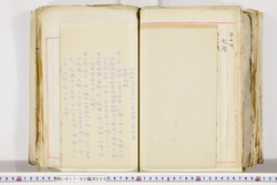 明い017020200006.jpg