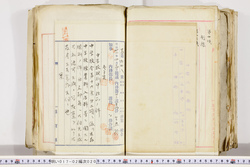 明い017020200007.jpg