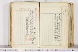 明い017020210004.jpg