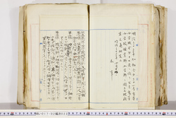 明い017020220002.jpg
