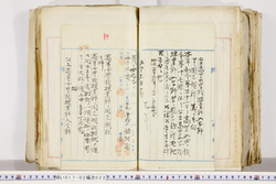 明い017020220004.jpg