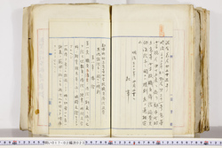 明い017020230002.jpg