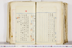 明い017020230005.jpg