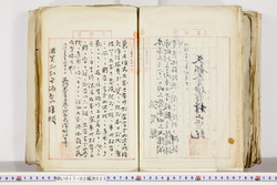 明い017020230008.jpg