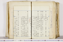 明い017020250003.jpg