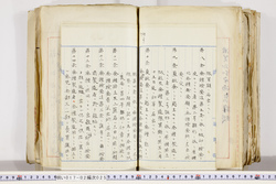 明い017020250004.jpg