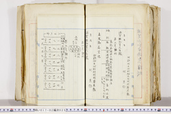 明い017020250007.jpg