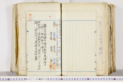 明い017020250008.jpg