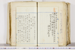 明い017020270002.jpg