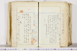 明い017020270006.jpg
