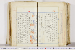 明い017020270007.jpg