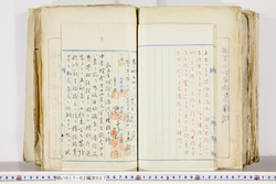 明い017020270009.jpg