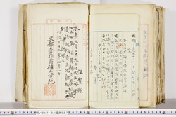 明い017020270010.jpg