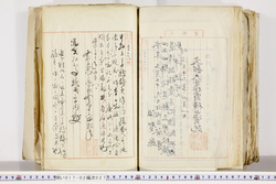 明い017020270011.jpg