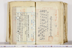 明い017020300002.jpg