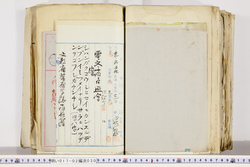 明い017020300004.jpg
