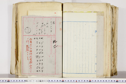 明い017020300005.jpg