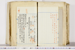 明い017020310003.jpg