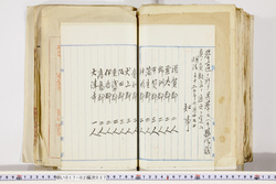 明い017020370002.jpg