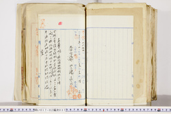 明い017020370003.jpg