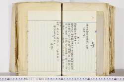 明い017020400002.jpg