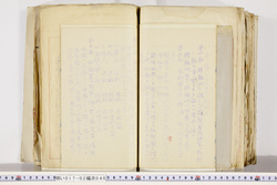 明い017020400004.jpg