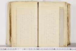 明い017020400005.jpg