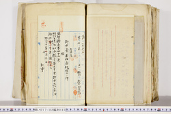 明い017020400006.jpg