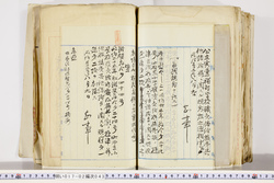 明い017020430002.jpg