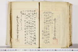 明い017020430004.jpg