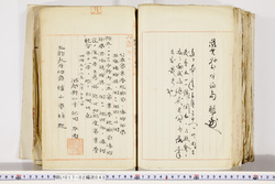 明い017020430005.jpg