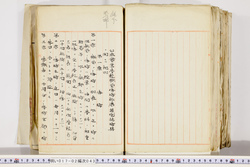 明い017020430006.jpg