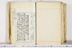 明い017020430009.jpg