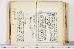 明い017020430010.jpg
