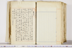 明い017020430012.jpg